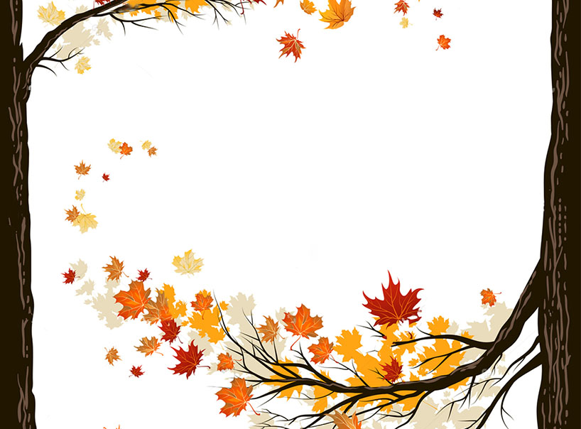 stock-vector-fall-background-with-leaves-autumnal-frame-from-trees-205162855